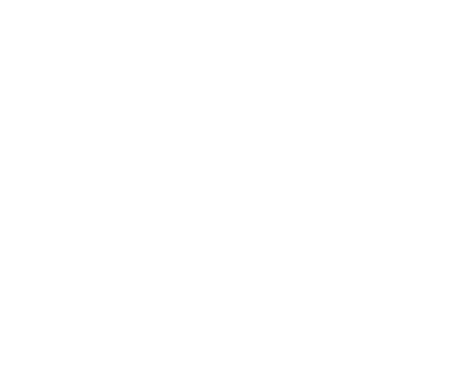 Rayenari logo